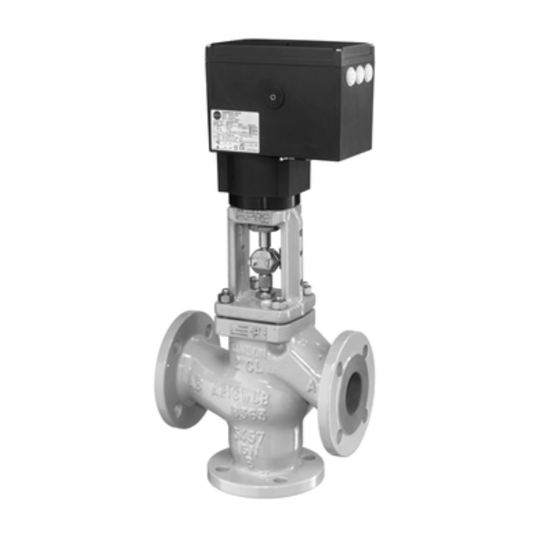 Control Valve Type 3244