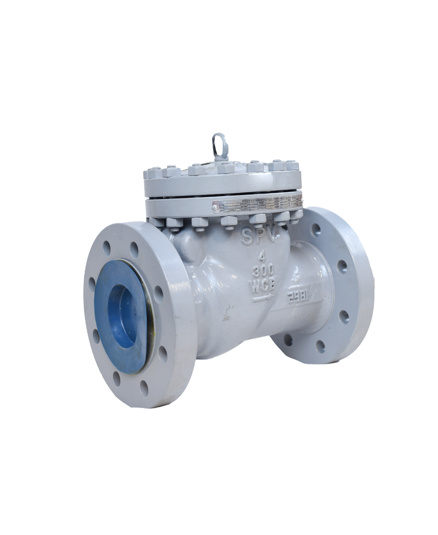 CHECK VALVE - API 6D