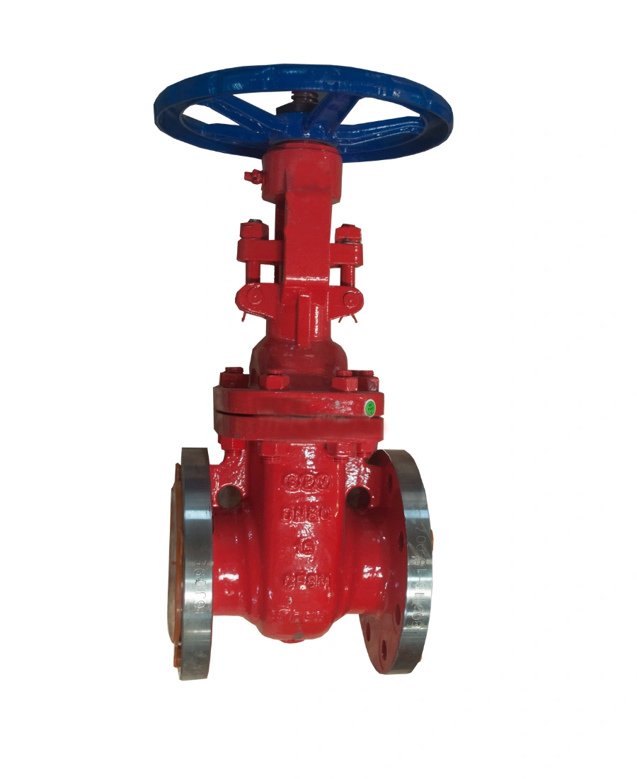 GATE VALVE - API 600